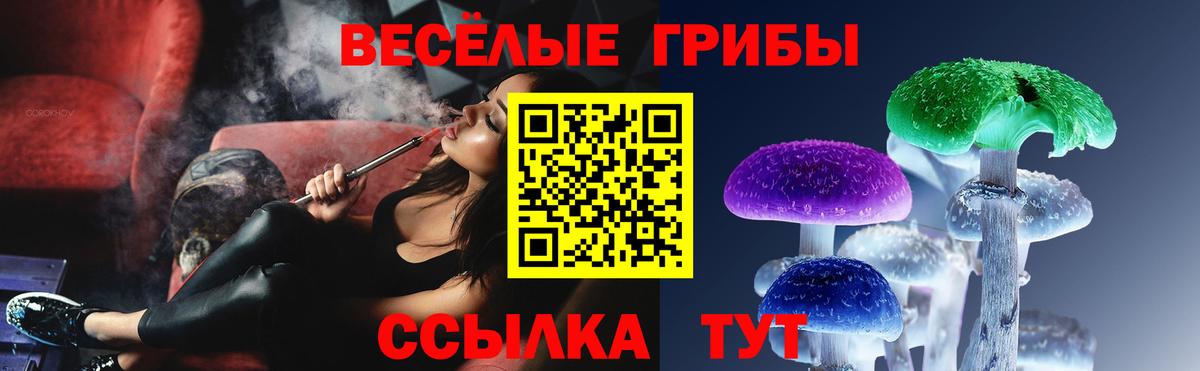 Псилоцибиновые грибы Magic Shrooms  Вход с VPN  Галлюциногенные грибы Cubensis  Карталы 